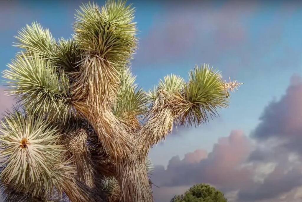 Three Tree Villa W/ Ev Charging Yucca Valley Ngoại thất bức ảnh